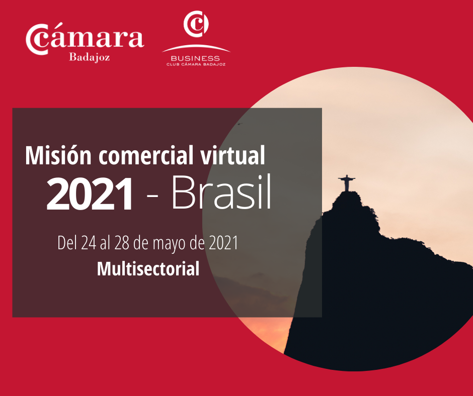 MISIÓN COMERCIAL VIRTUAL - BRASIL