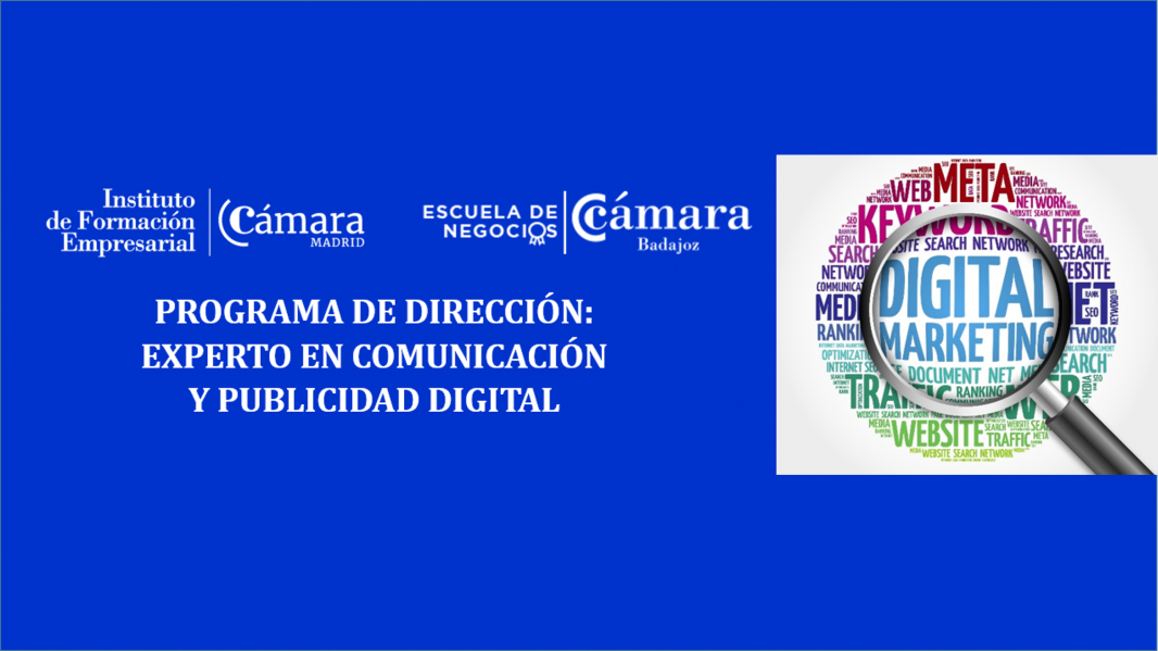 PROGRAMA DE DIRECCIÓN:  EXPERTO EN COMUNICACIÓN  Y PUBLICIDAD DIGITAL