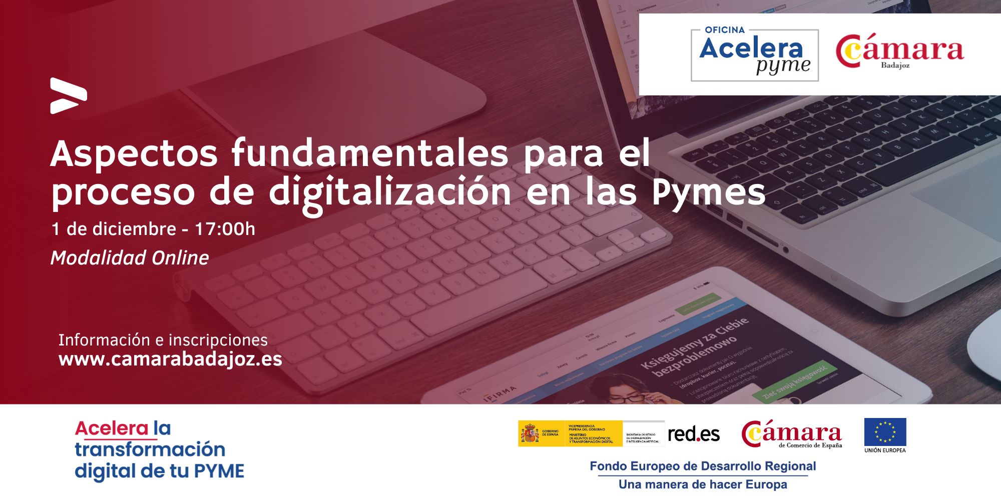 Webinar Acelerapyme  – Aspectos fundamentales para el proceso de digitalización en las Pymes