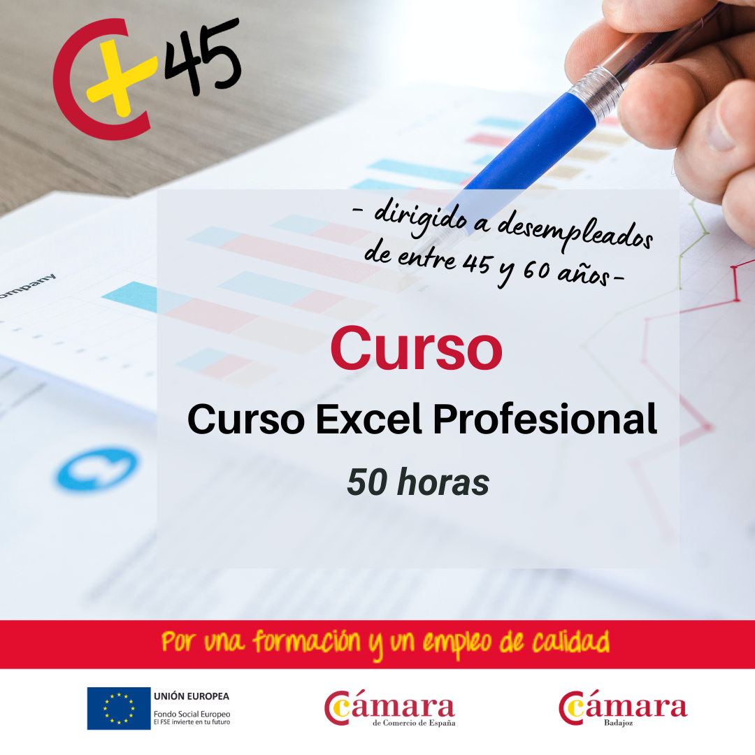 CURSOS 45+: Curso Excel Profesional (Online)