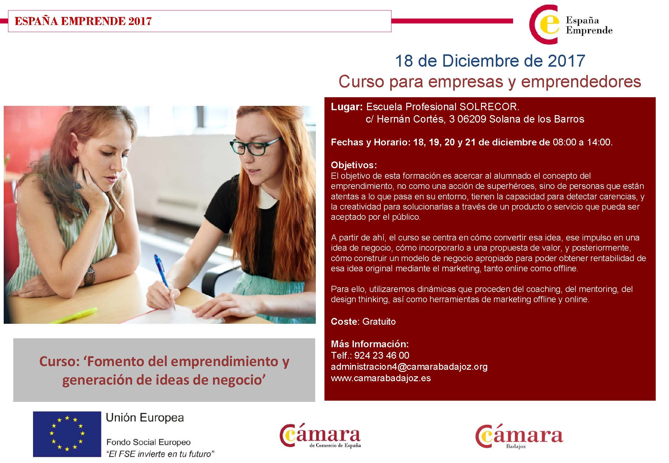 Curso: Fomento del emprendimiento y generación de ideas de negocio