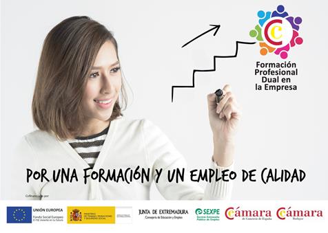 Programa de formación profesional dual en la empresa