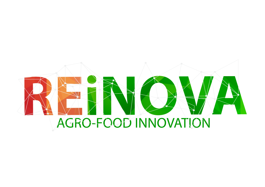 Proyecto REiNOVA - Interreg POCTEP 2014-2020