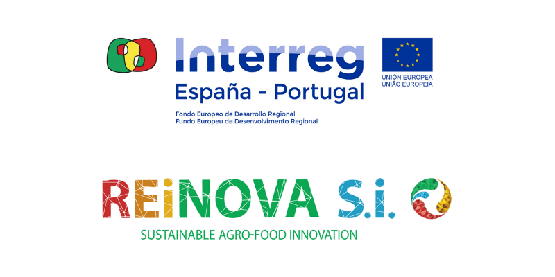 REiNOVA_SI - Interreg POCTEP 2014-2020