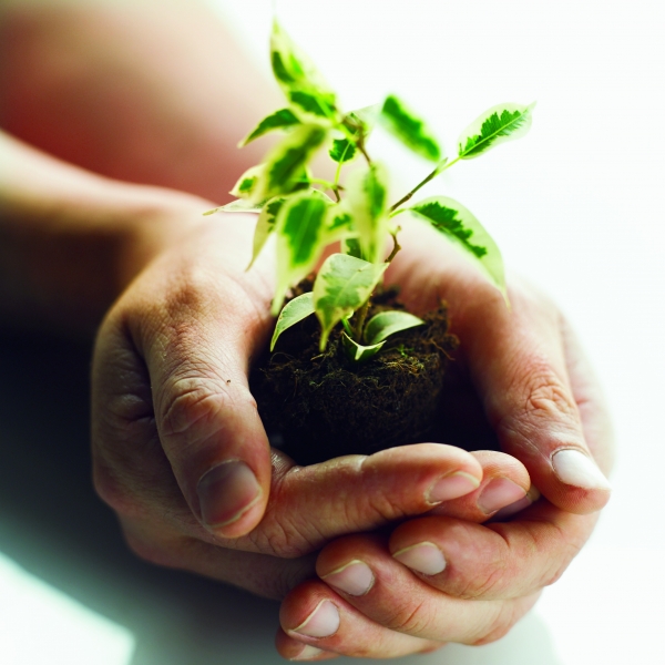 Las pymes españolas progresan en innovación y competitividad, pero deben generar menos residuos y aumentar el reciclaje