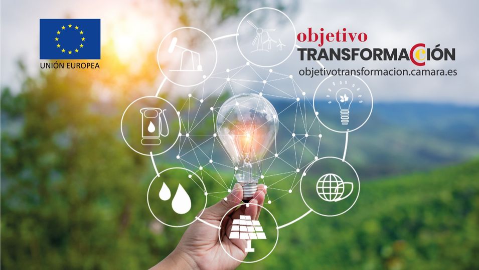 El Gobierno convoca tres líneas de ayudas para modernizar el sector comercial por 104 millones de euros