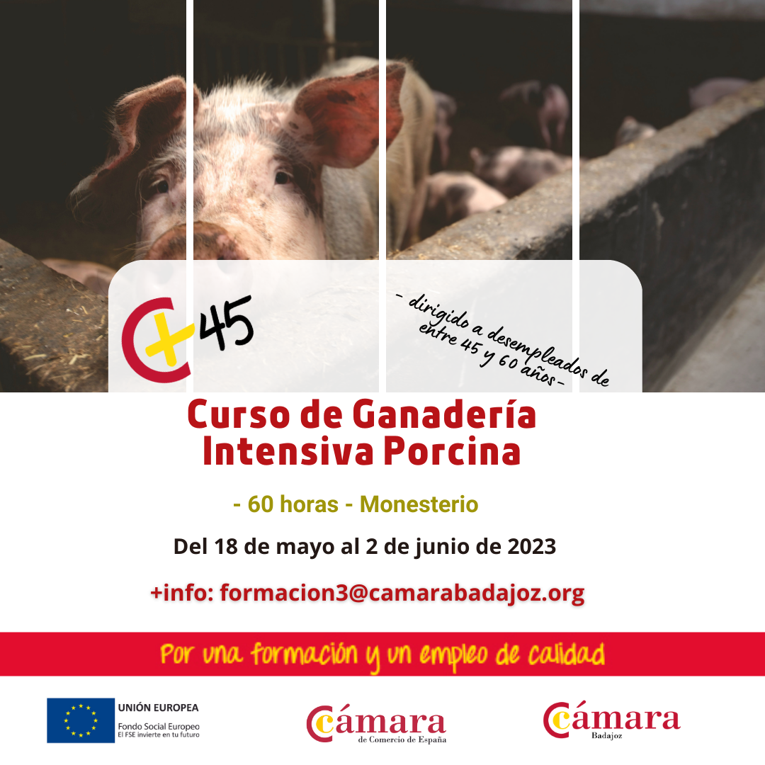 CURSO 45+: Ganadería Intensiva Porcina. Presencial (Monesterio)