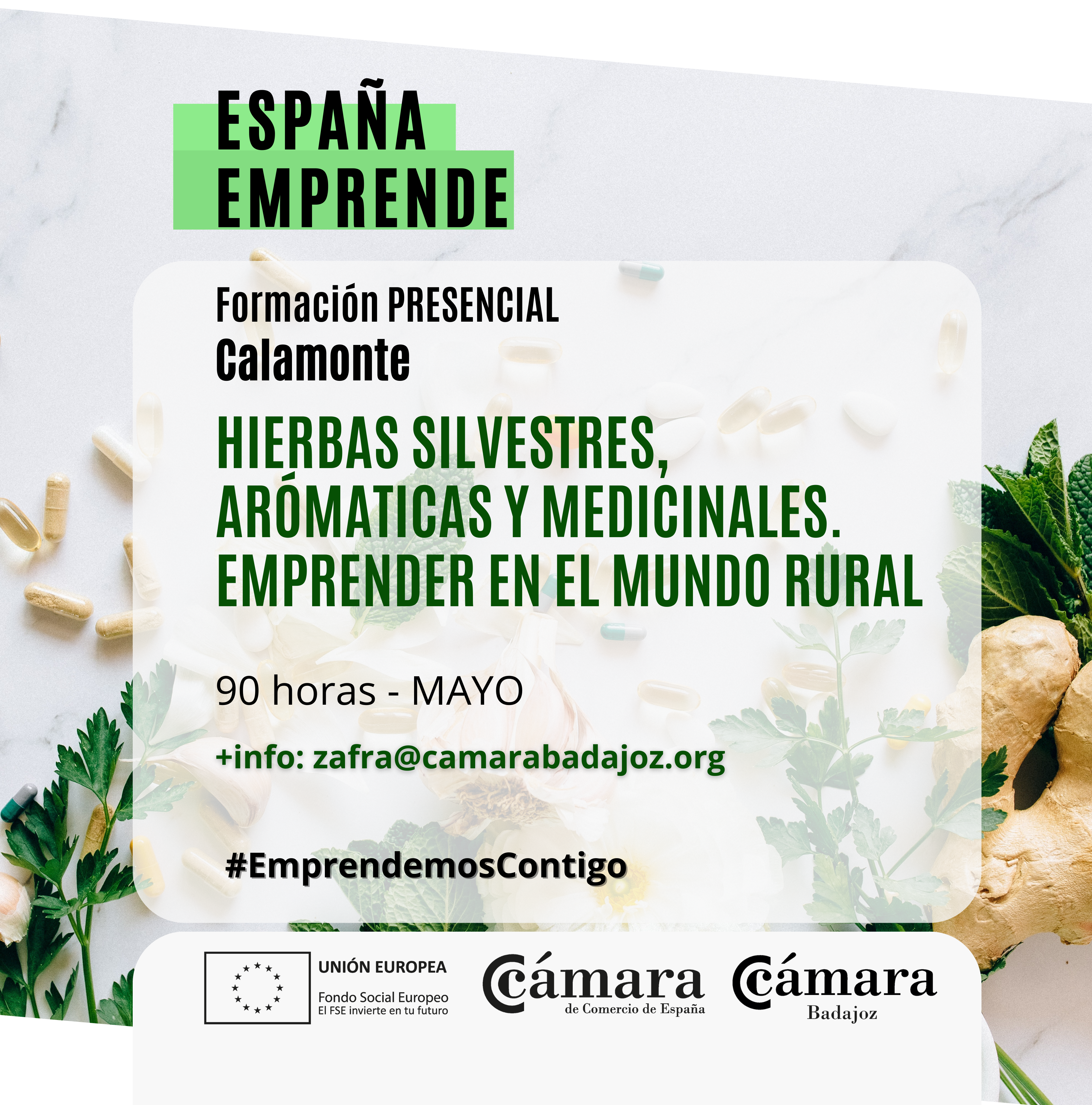 CURSO ESPAÑA EMPRENDE: HIERBAS SILVESTRES, ARÓMATICAS Y MEDICINALES. EMPRENDER EN EL MUNDO RURAL (Calamonte)