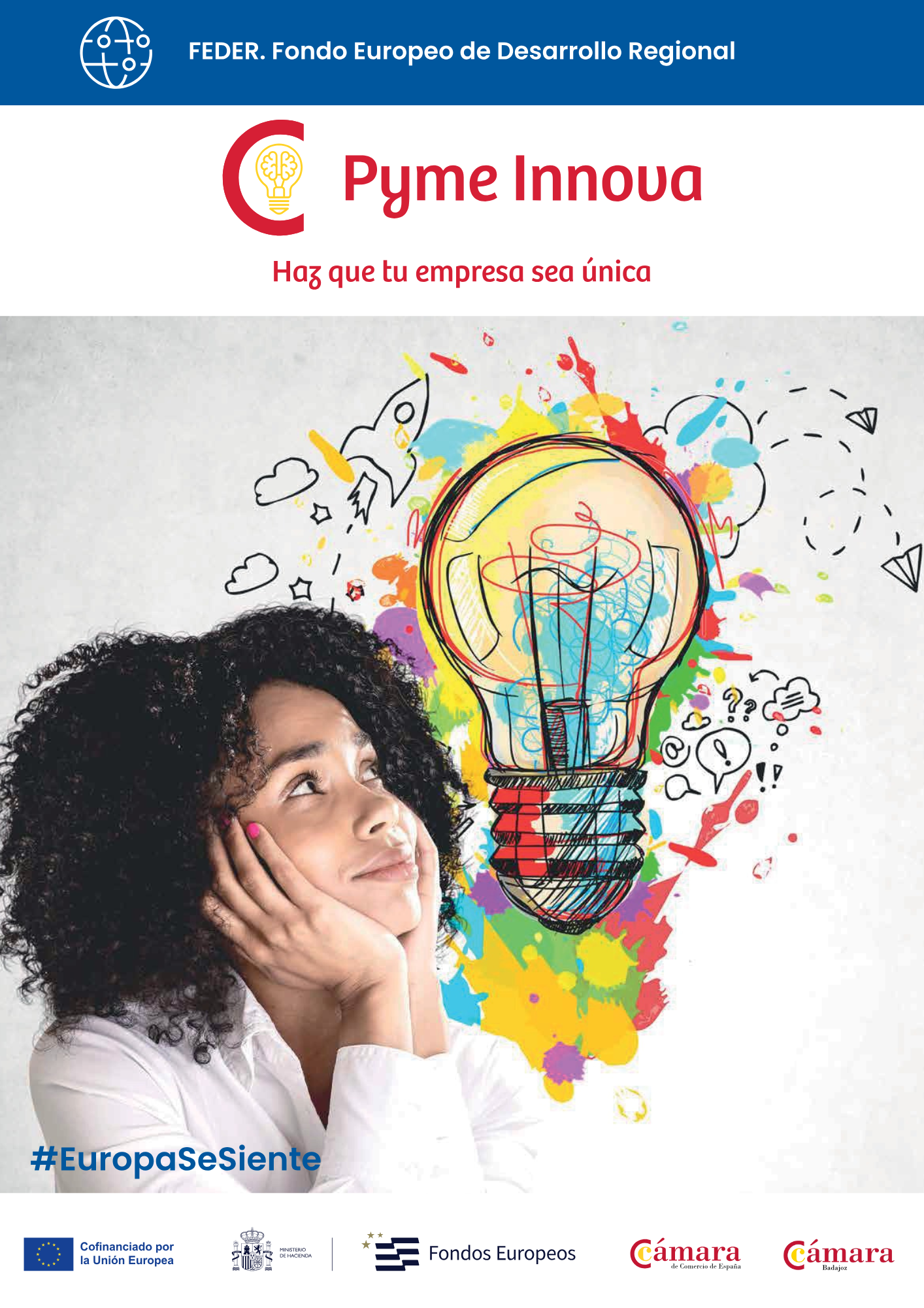 Programa Pyme Innova