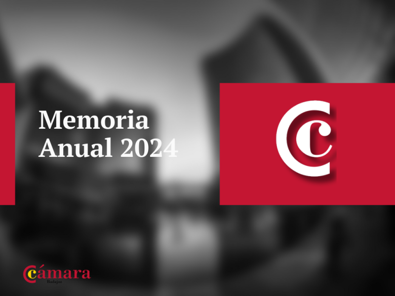 Memoria 2024