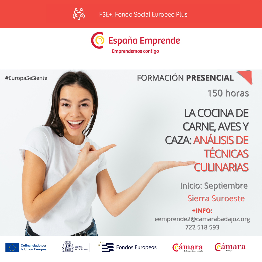 LA COCINA DE CARNE, AVES Y CAZA: ANÁLISIS DE TÉCNICAS CULINARIAS