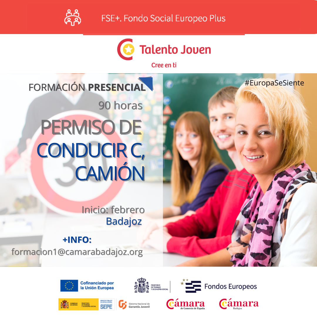 PERMISO DE CONDUCIR C, CAMIÓN